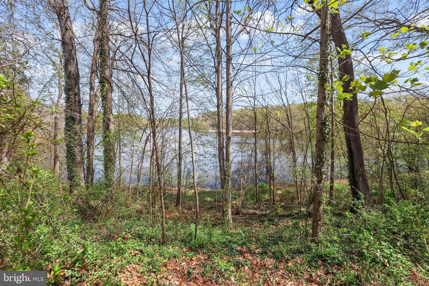 15767 Widewater Drive photo 42