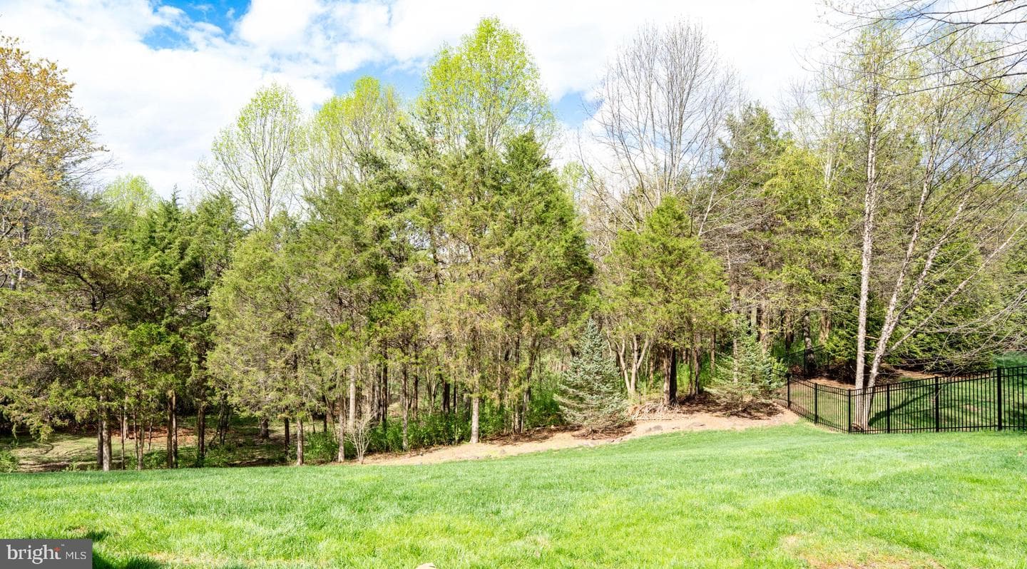5330 Chaffins Farm Court photo 63