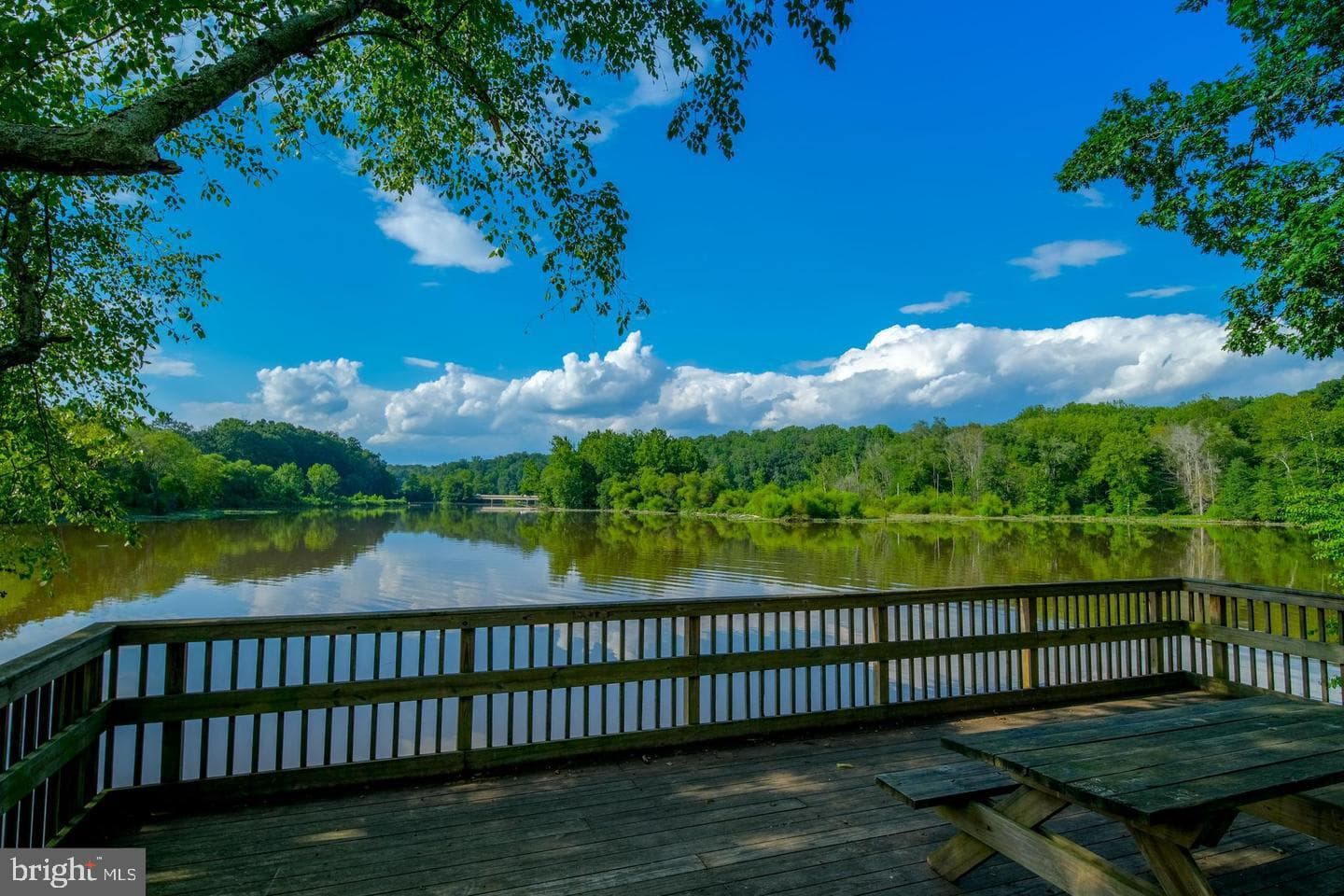6175 River Forest Drive photo 48