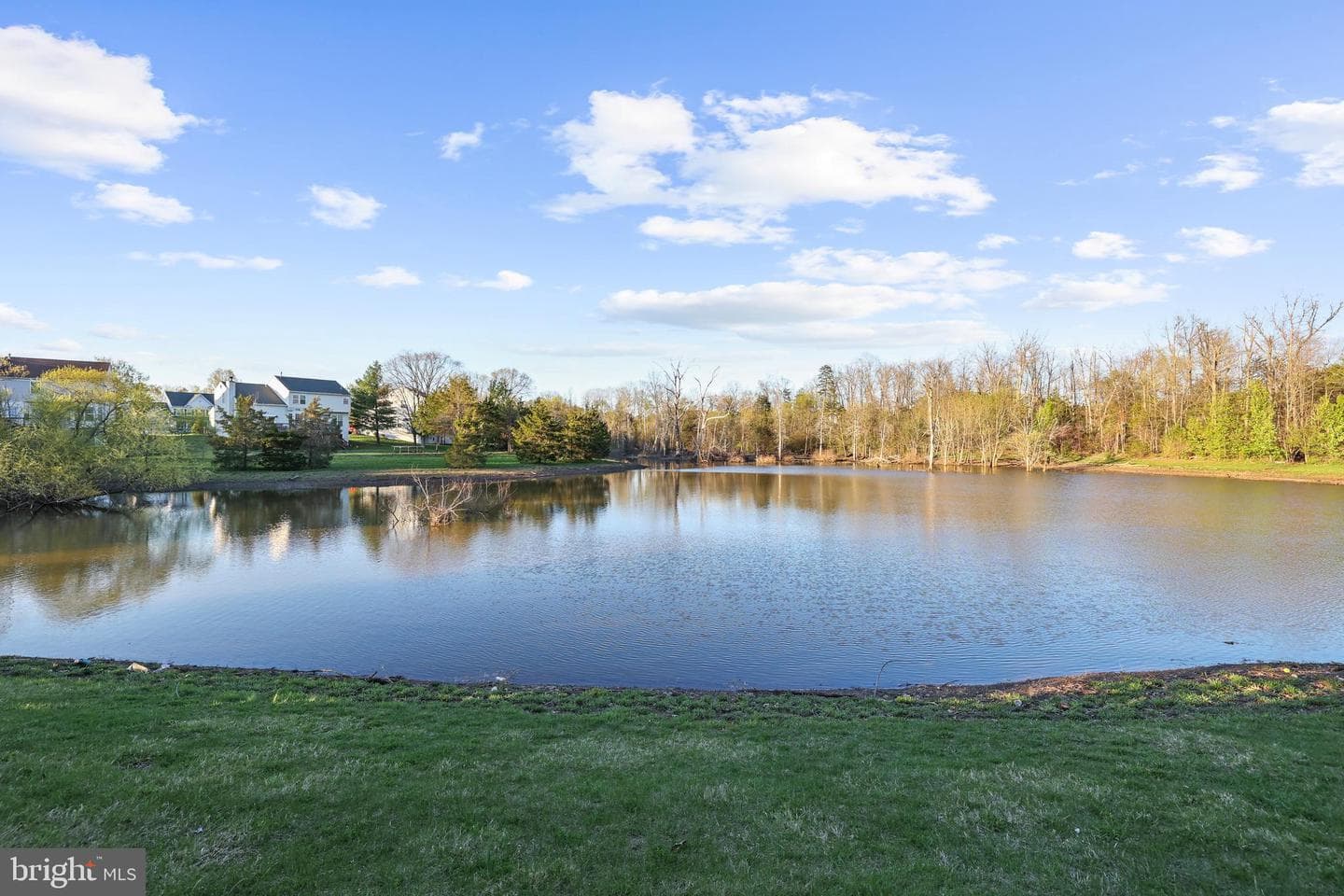 12316 Malvern Way photo 46