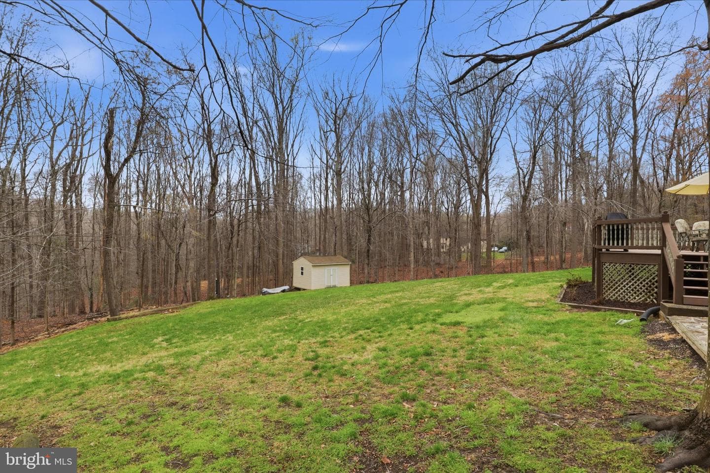 11547 Gunner Court photo 46