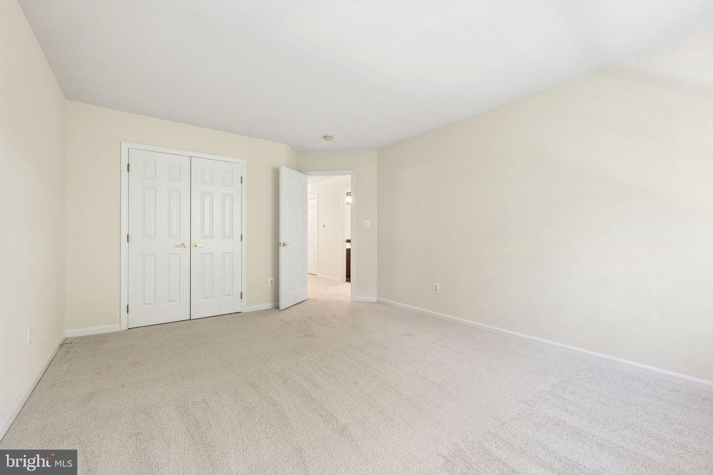 13703 Currant Loop photo 29