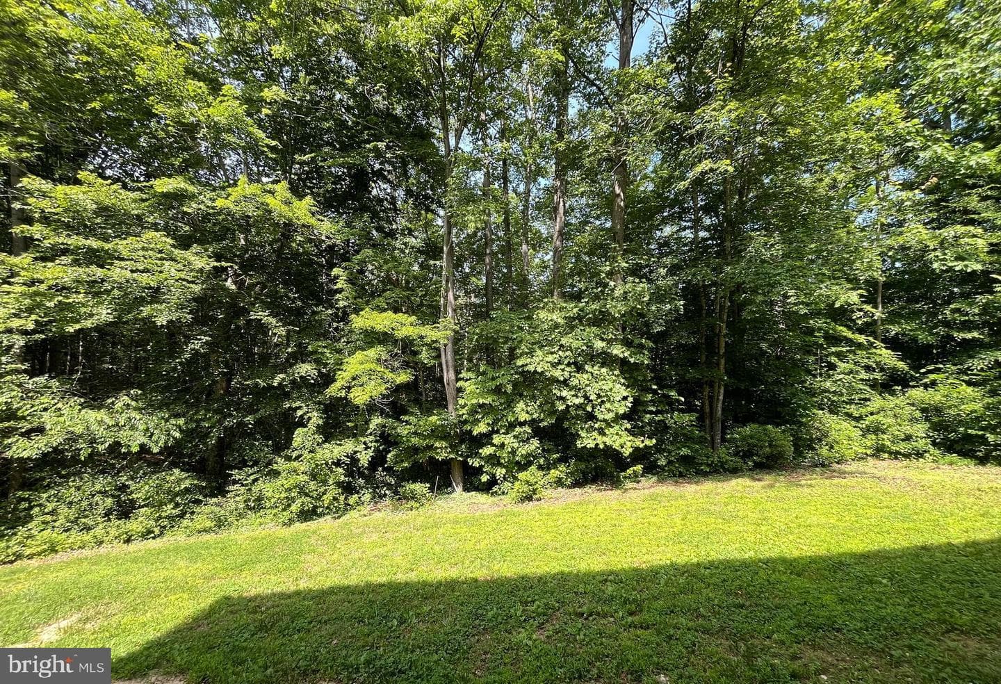 11350 Oakhurst Lane photo 39