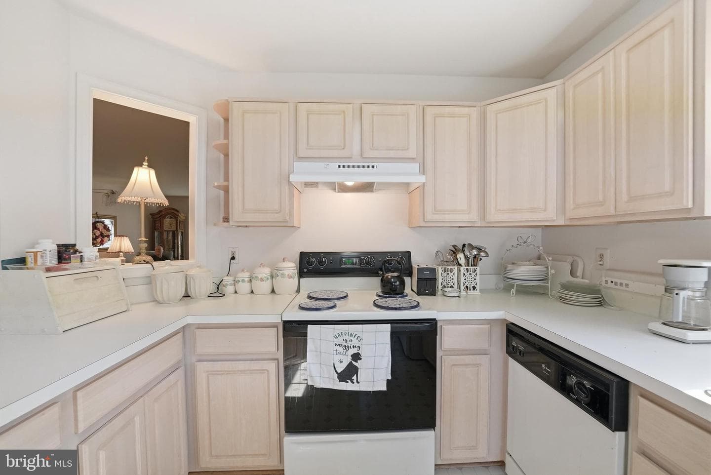 13568 Filly Court photo 19