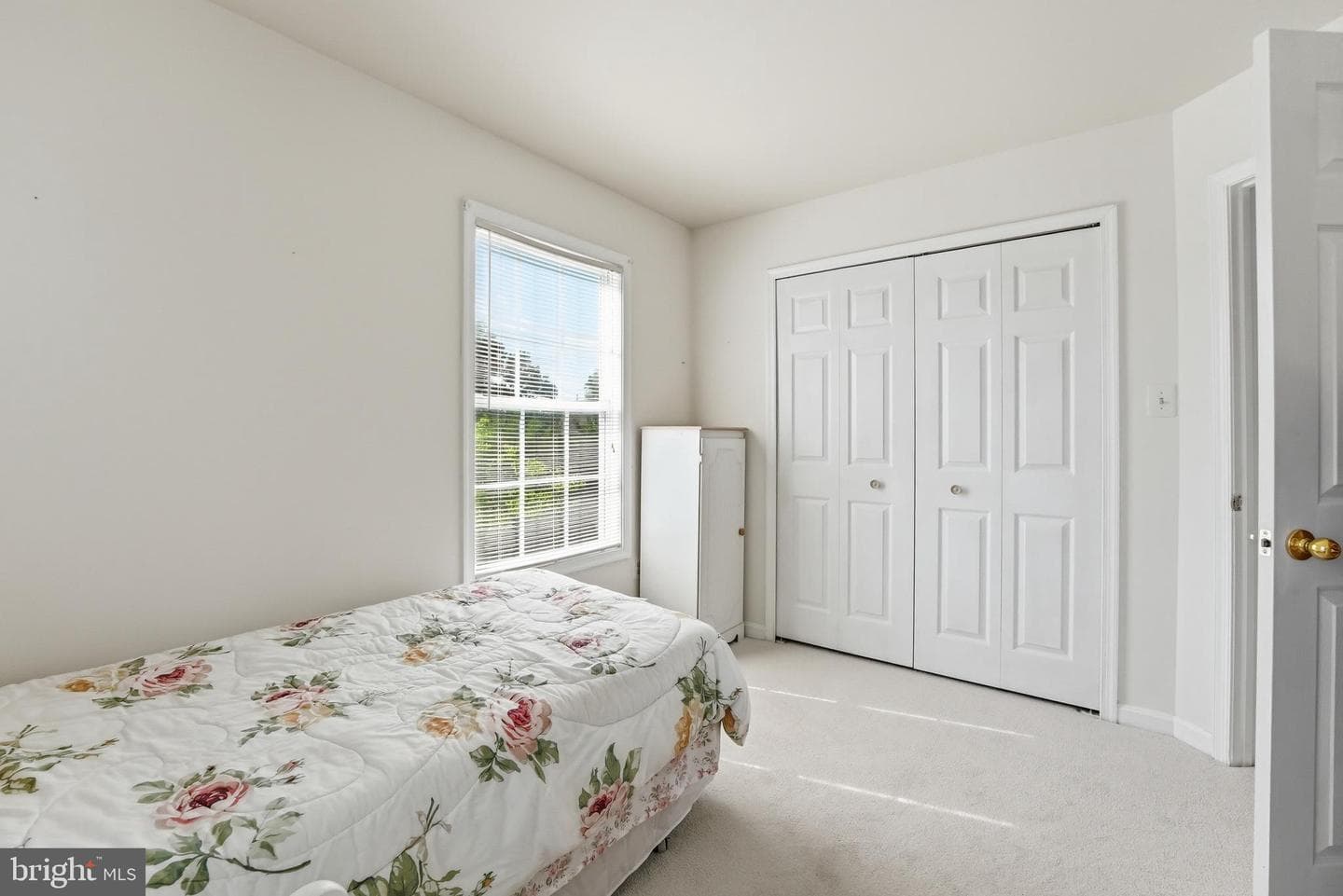 13568 Filly Court photo 35