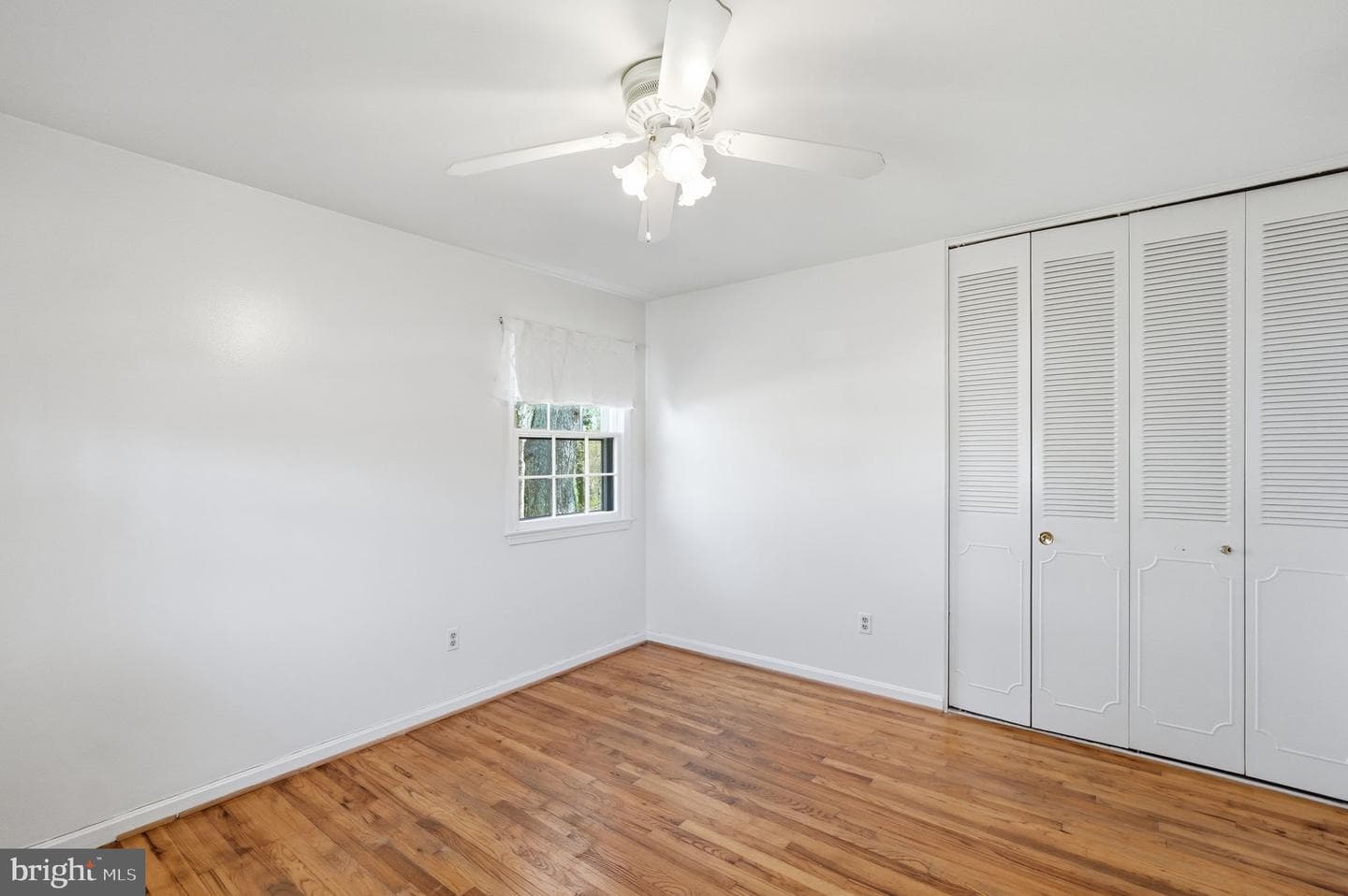 13123 Orleans Street photo 24