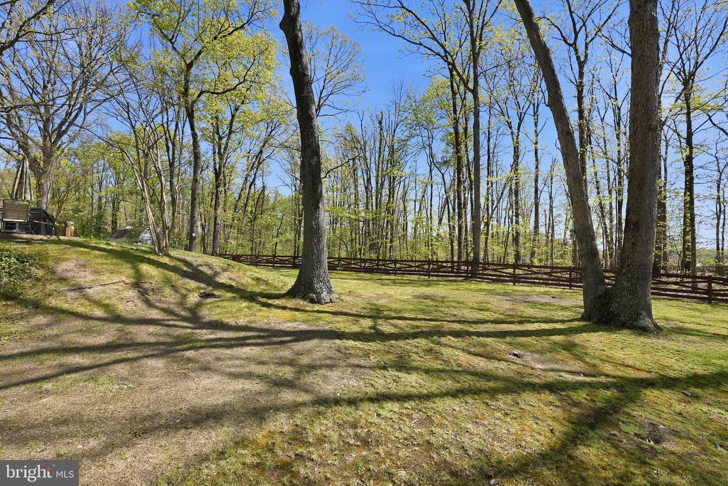 13123 Orleans Street photo 35