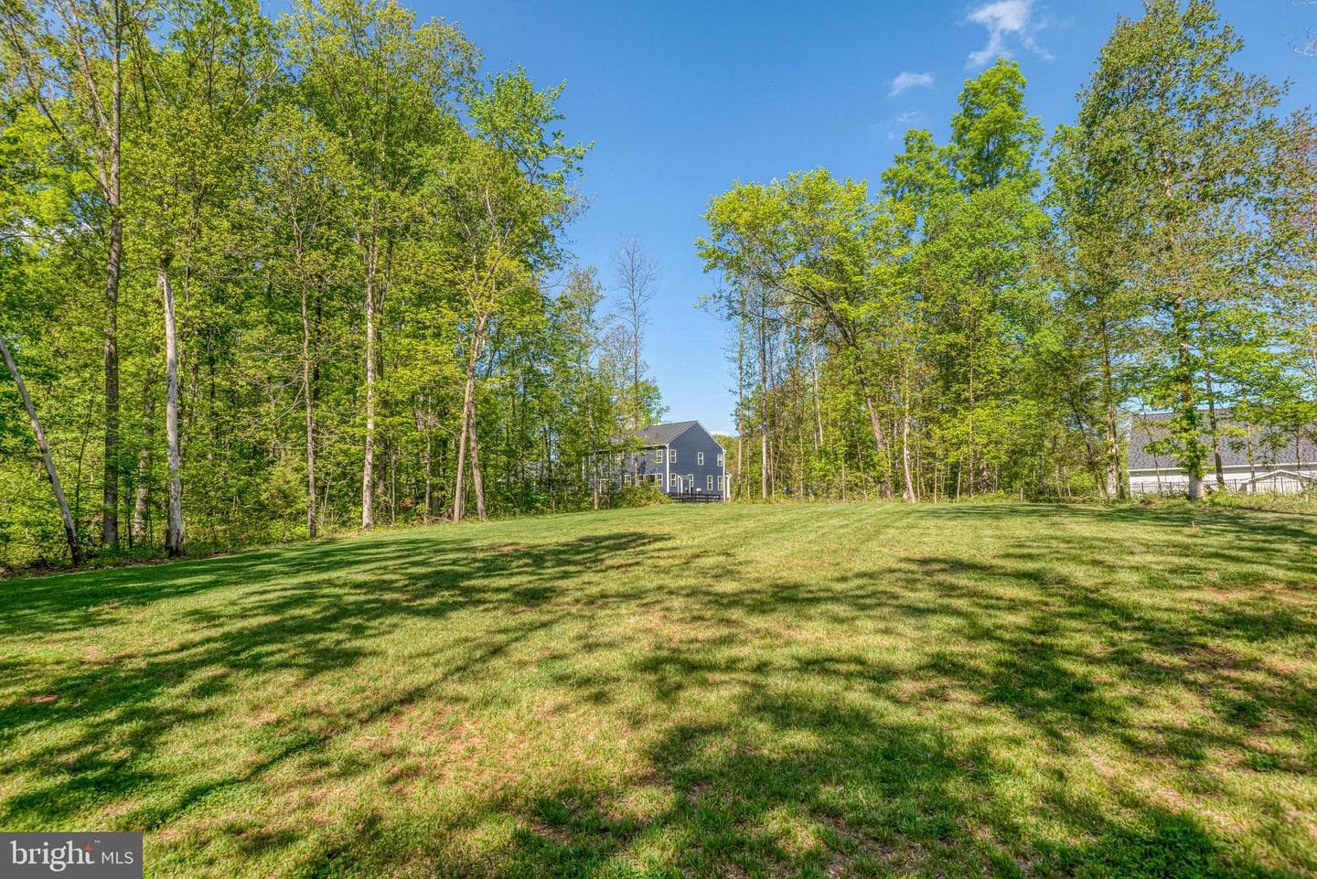 11125 Pine View Estates Court photo 59