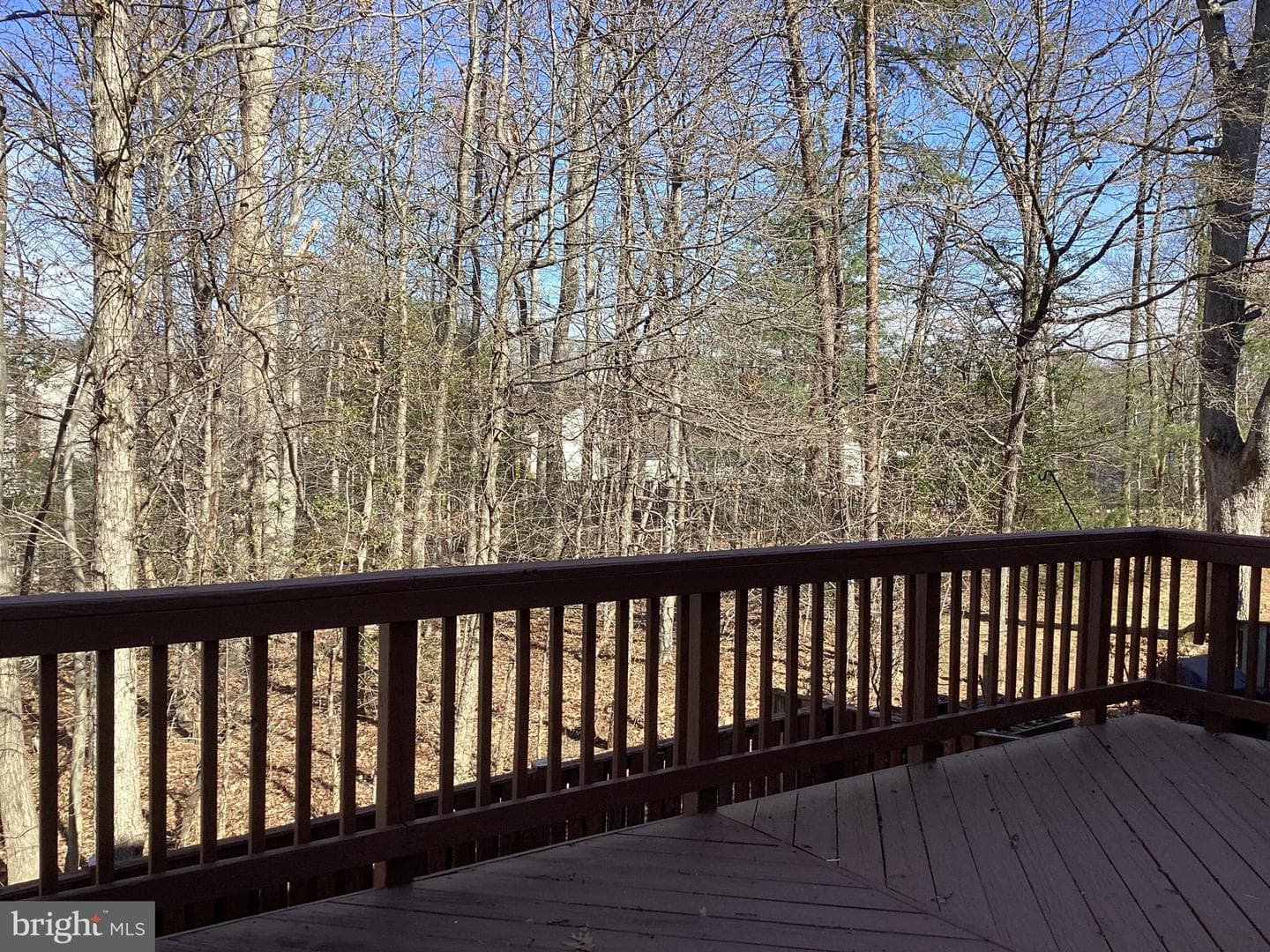 5339 Tortoise Place photo 24