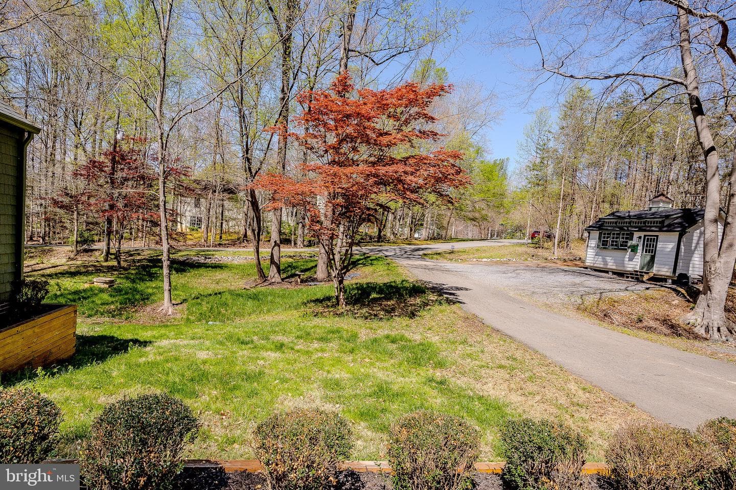 12701 Shane Thomas Lane photo 5