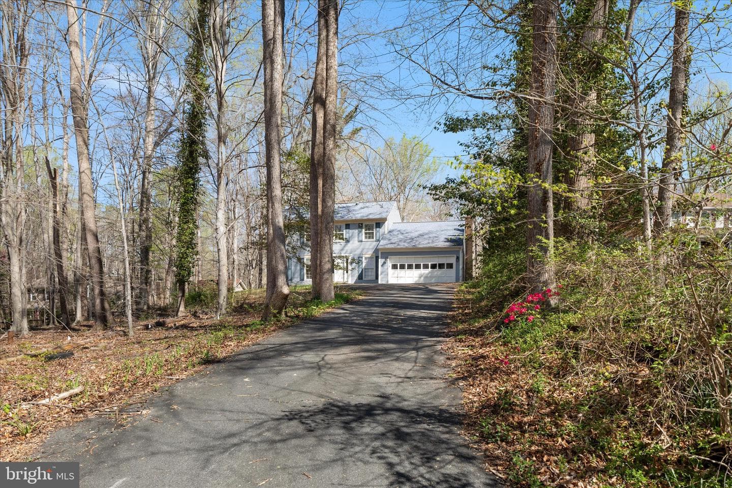 6490 Andes Court photo 41