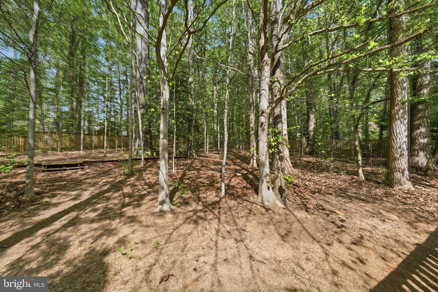 7864 Meadowgate Drive photo 57