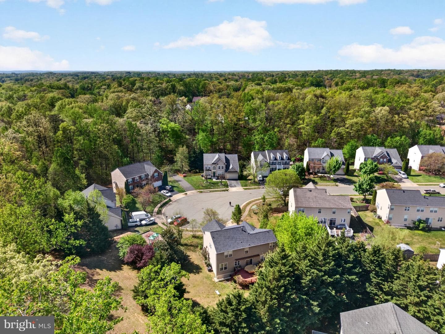 4255 Pemberley Court photo 86