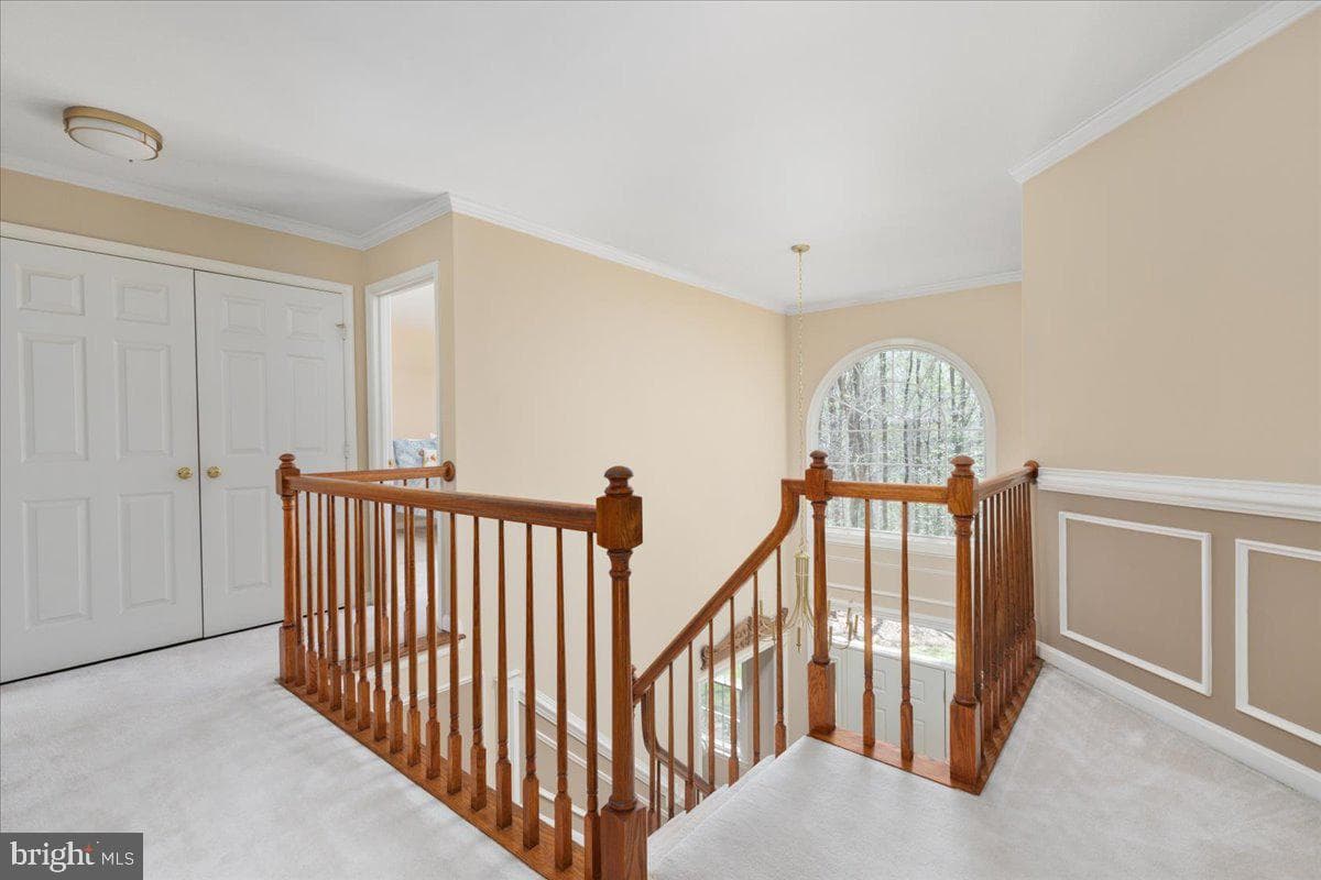 11671 Sandal Wood Lane photo 28