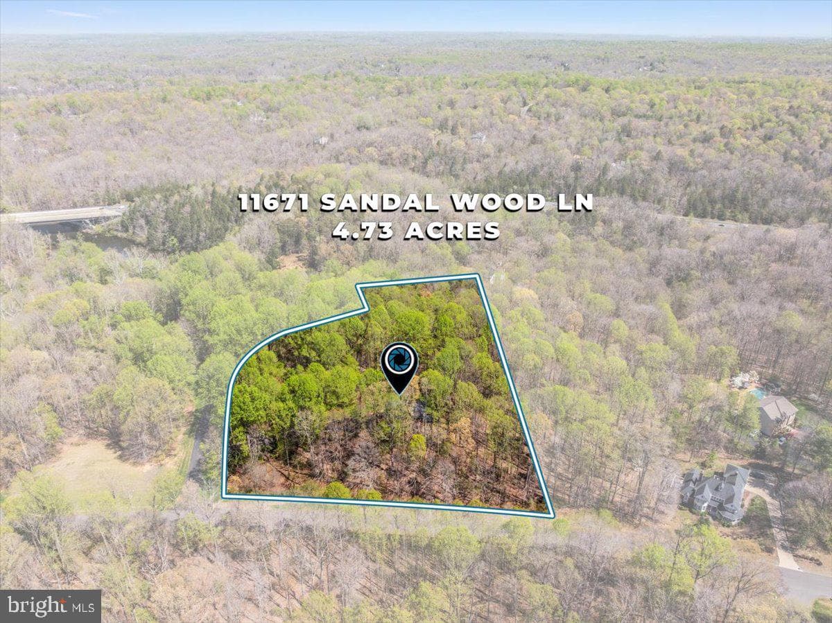 11671 Sandal Wood Lane photo 56