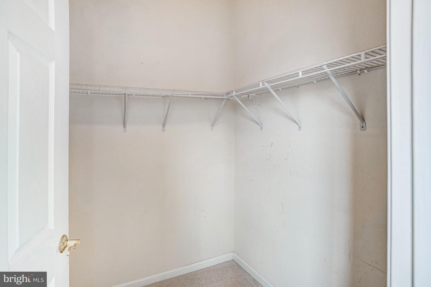 12974 Dunbarton Drive photo 27