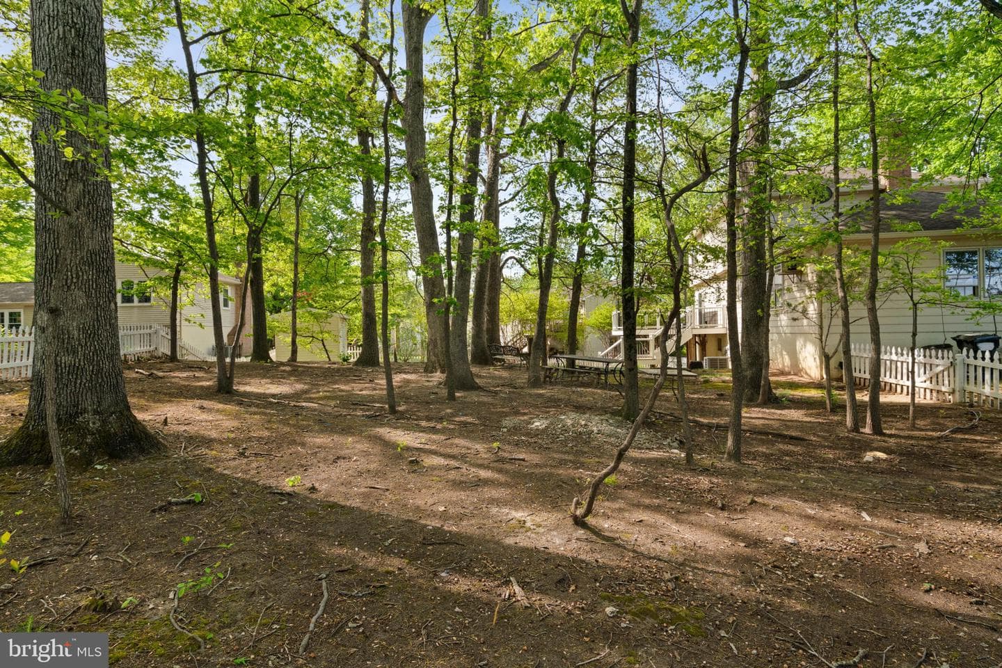 12461 Hedges Run Drive photo 54
