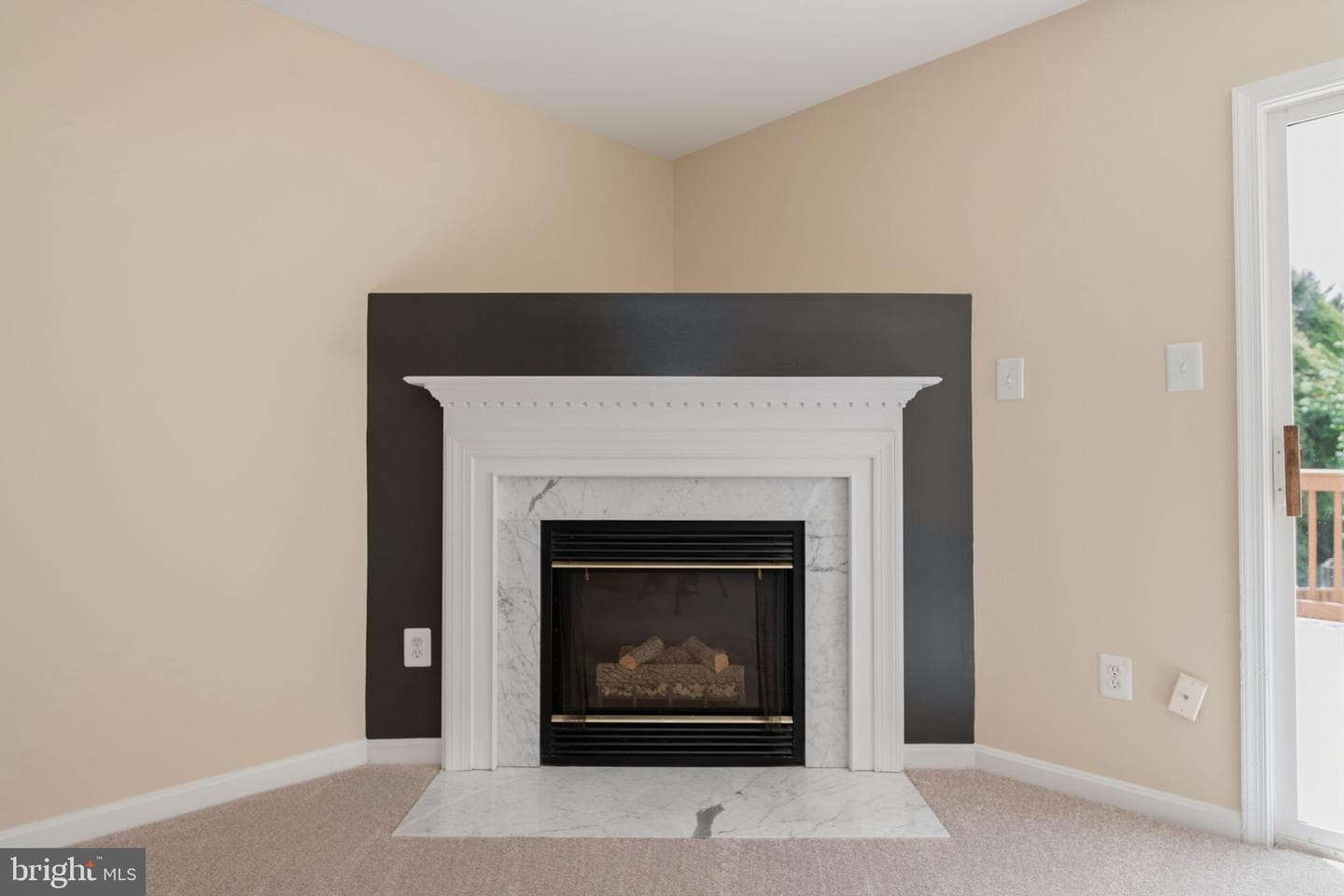 13469 Colesmire Gate Way photo 10