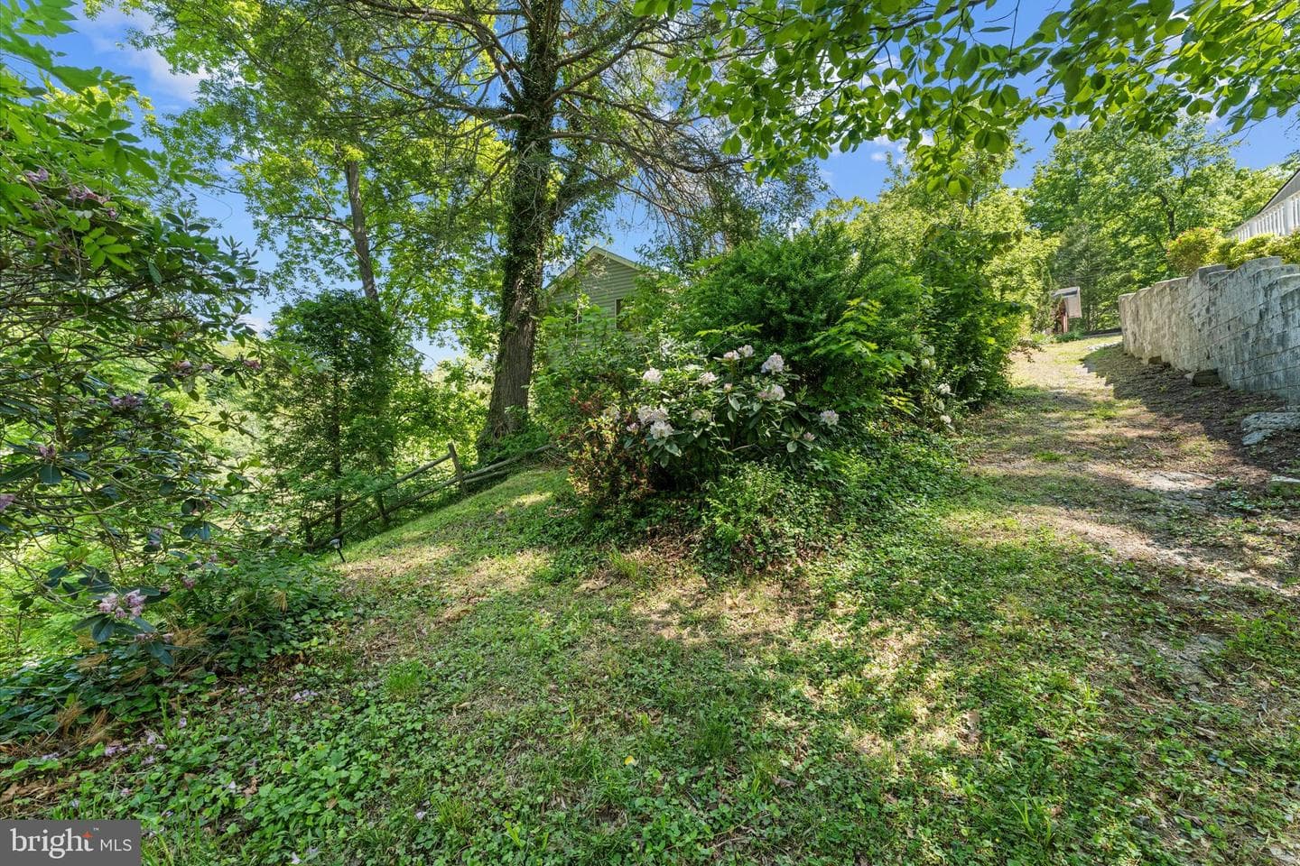 8221 Hickory Hill Drive photo 11