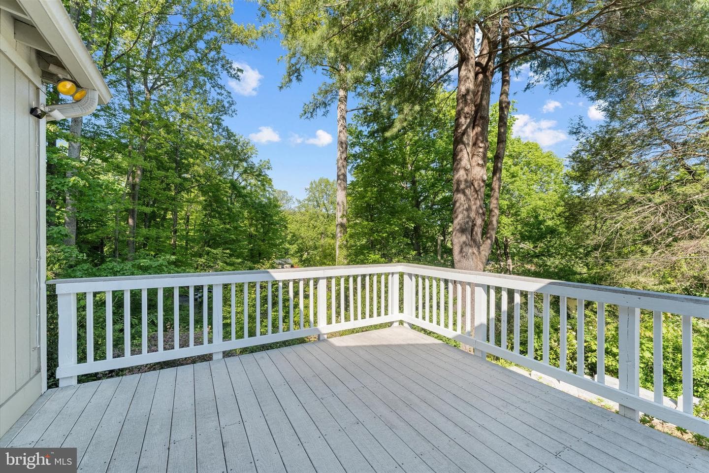 8221 Hickory Hill Drive photo 42