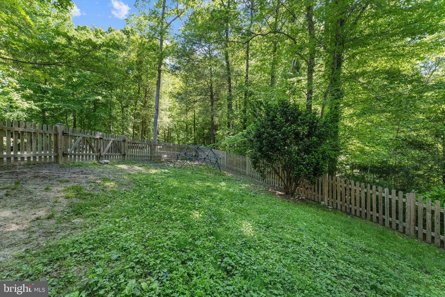 8221 Hickory Hill Drive photo 9