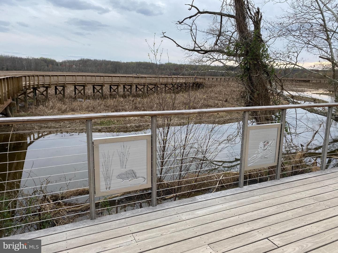 16040 Laconia Circle photo 46