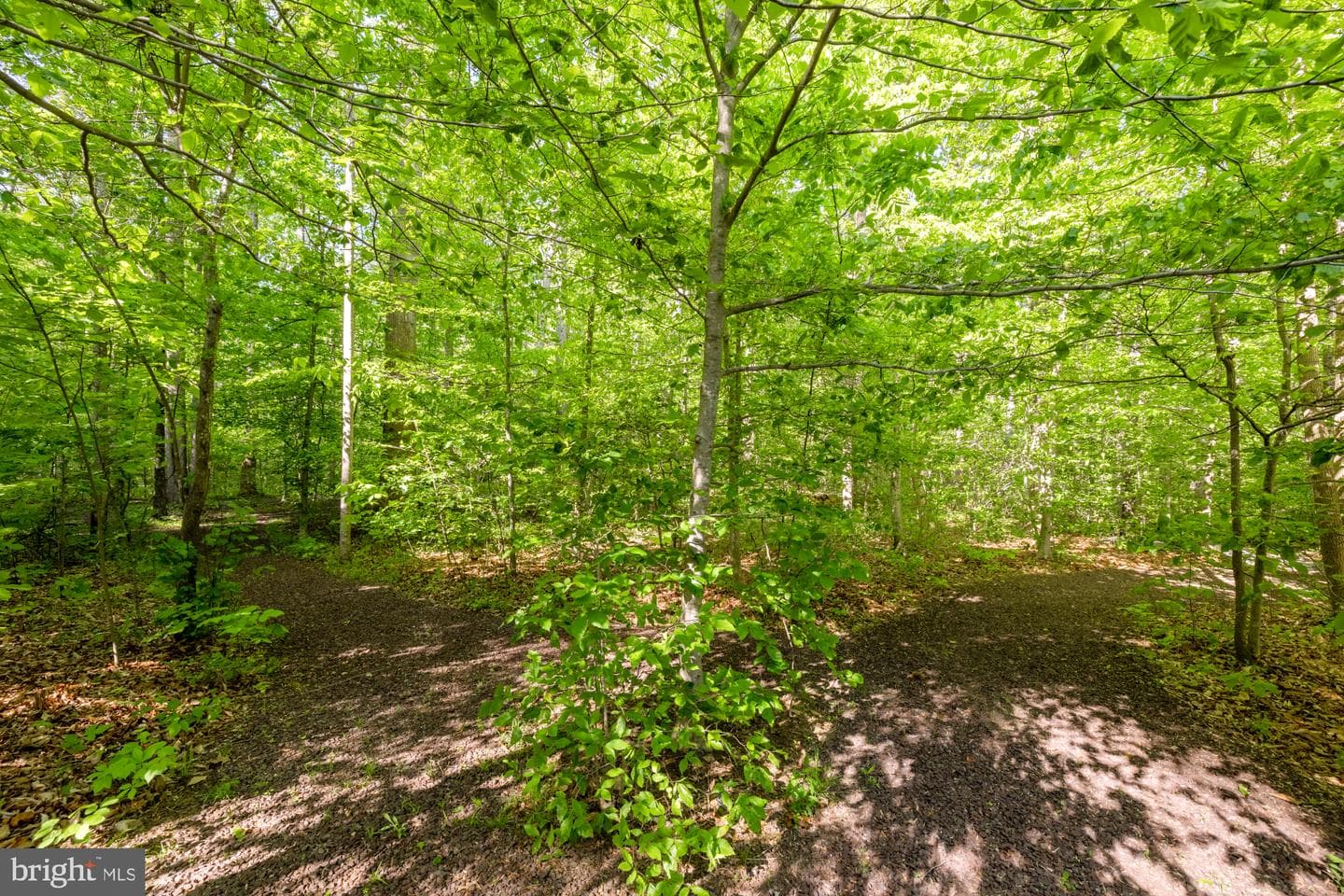 14235 Bristow Road photo 59