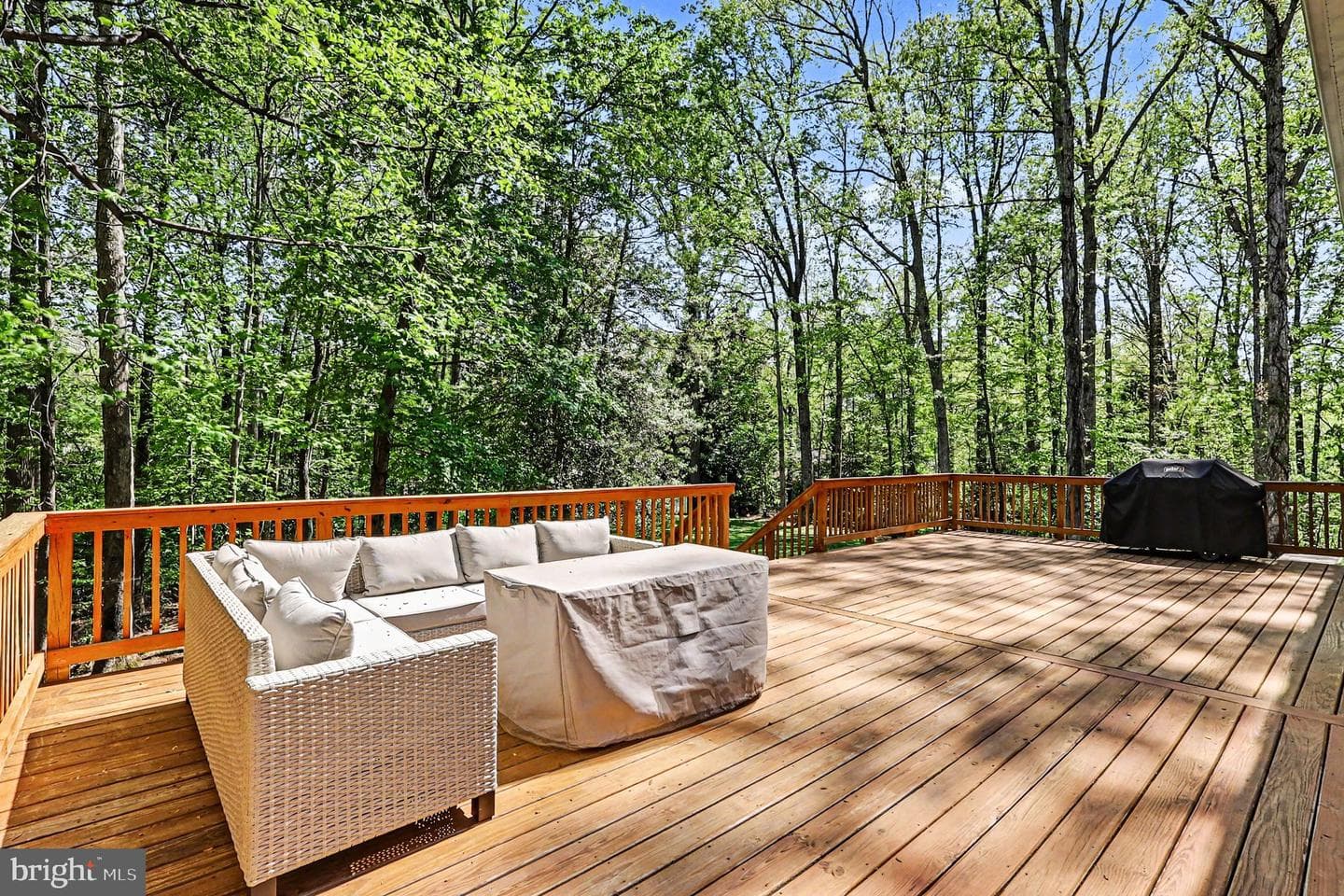 13431 Carriage Hill Drive photo 38