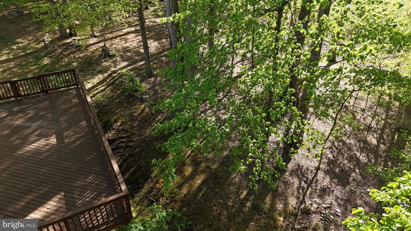 11808 Oakwood Drive photo 58