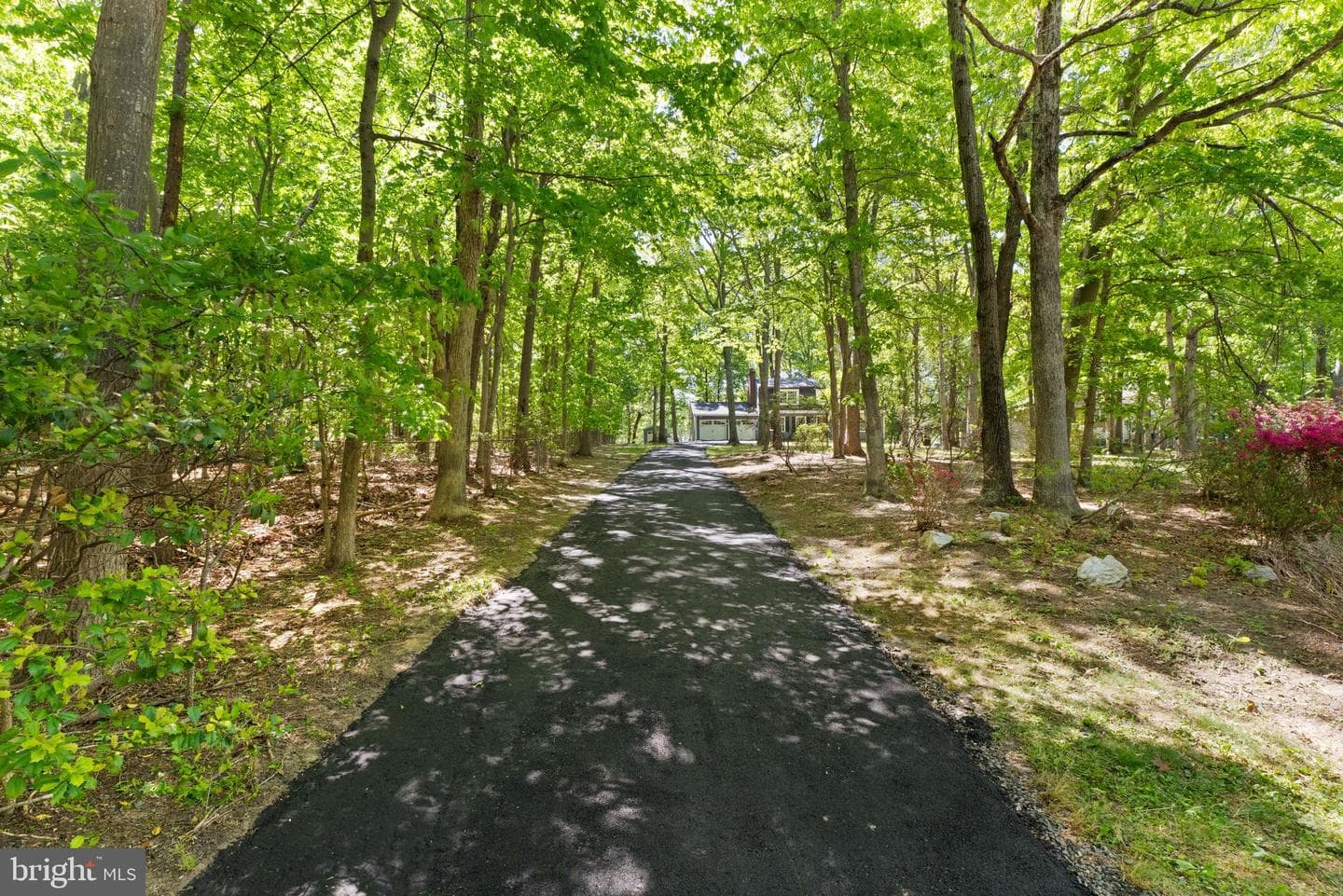 5876 Anthony Drive photo 4
