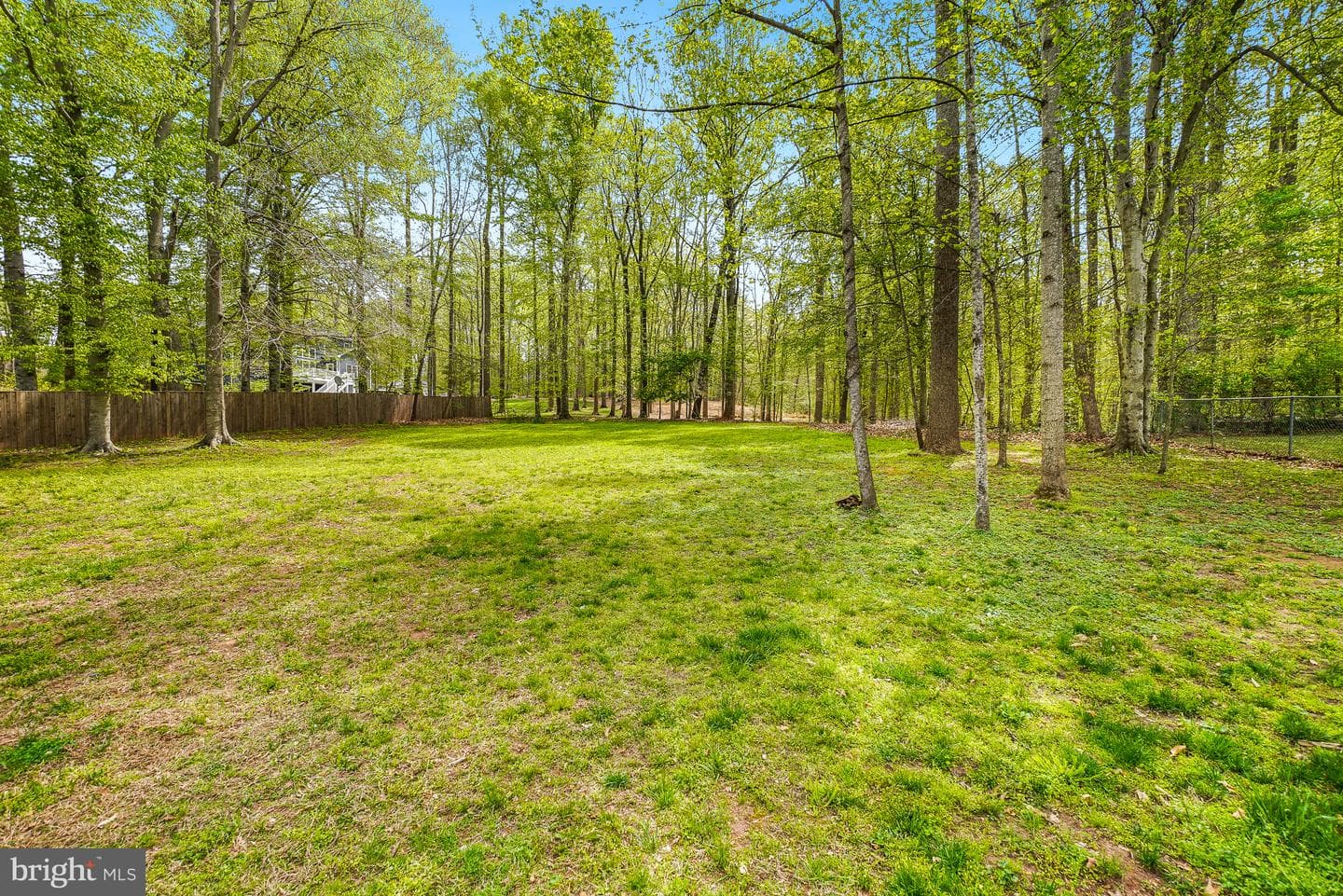 12021 Parkriver Drive photo 35
