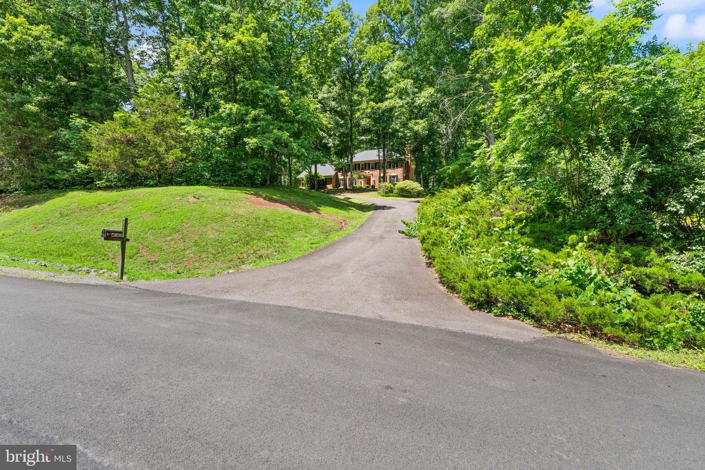 4560 Lynn Forest Drive photo 5