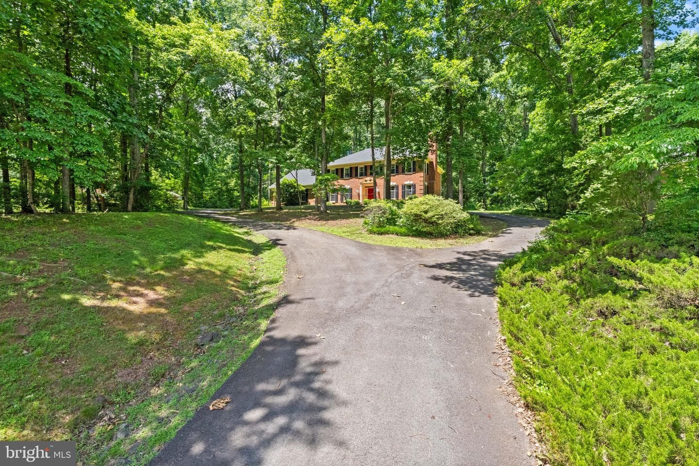 4560 Lynn Forest Drive photo 6