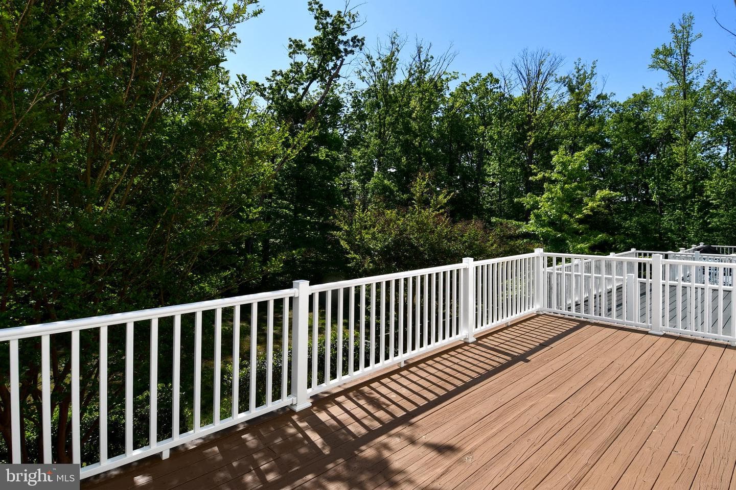 16733 Shackleford Way photo 19