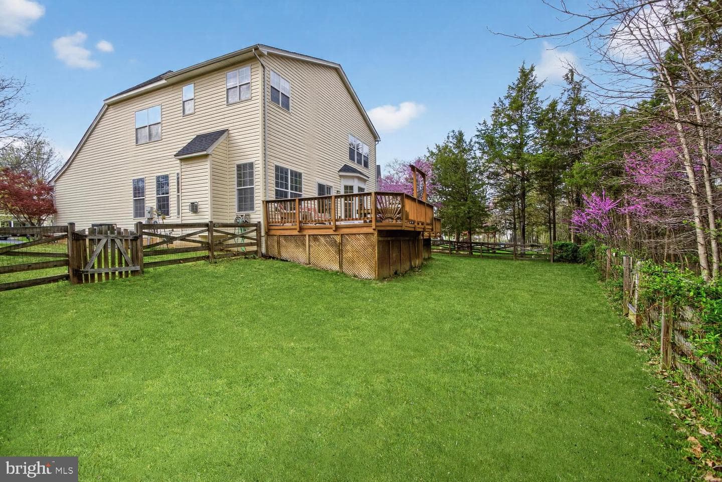 10029 Bonnykelly Court photo 42