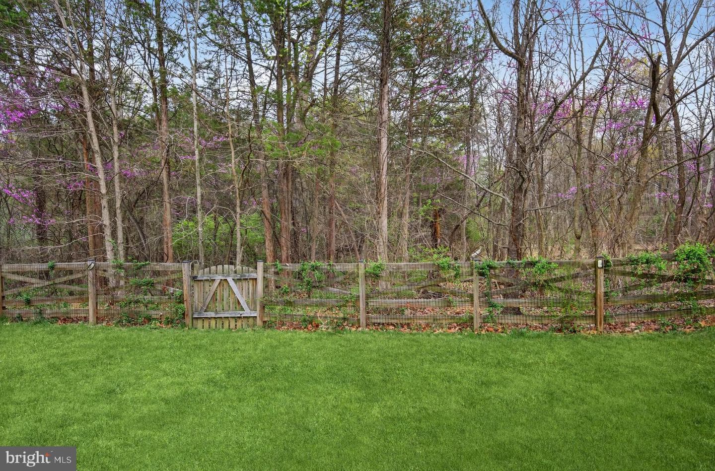 10029 Bonnykelly Court photo 44