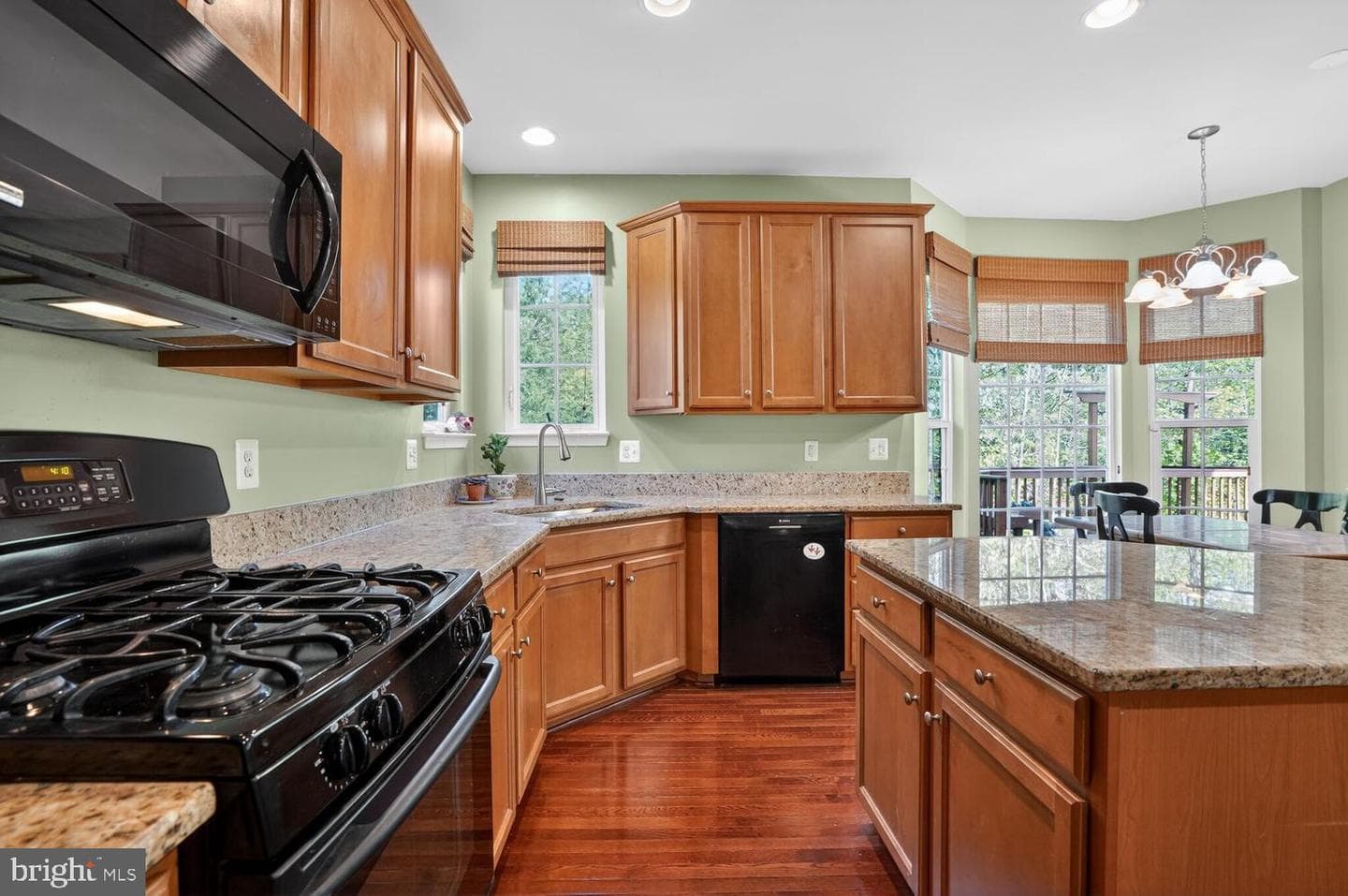 10029 Bonnykelly Court photo 7