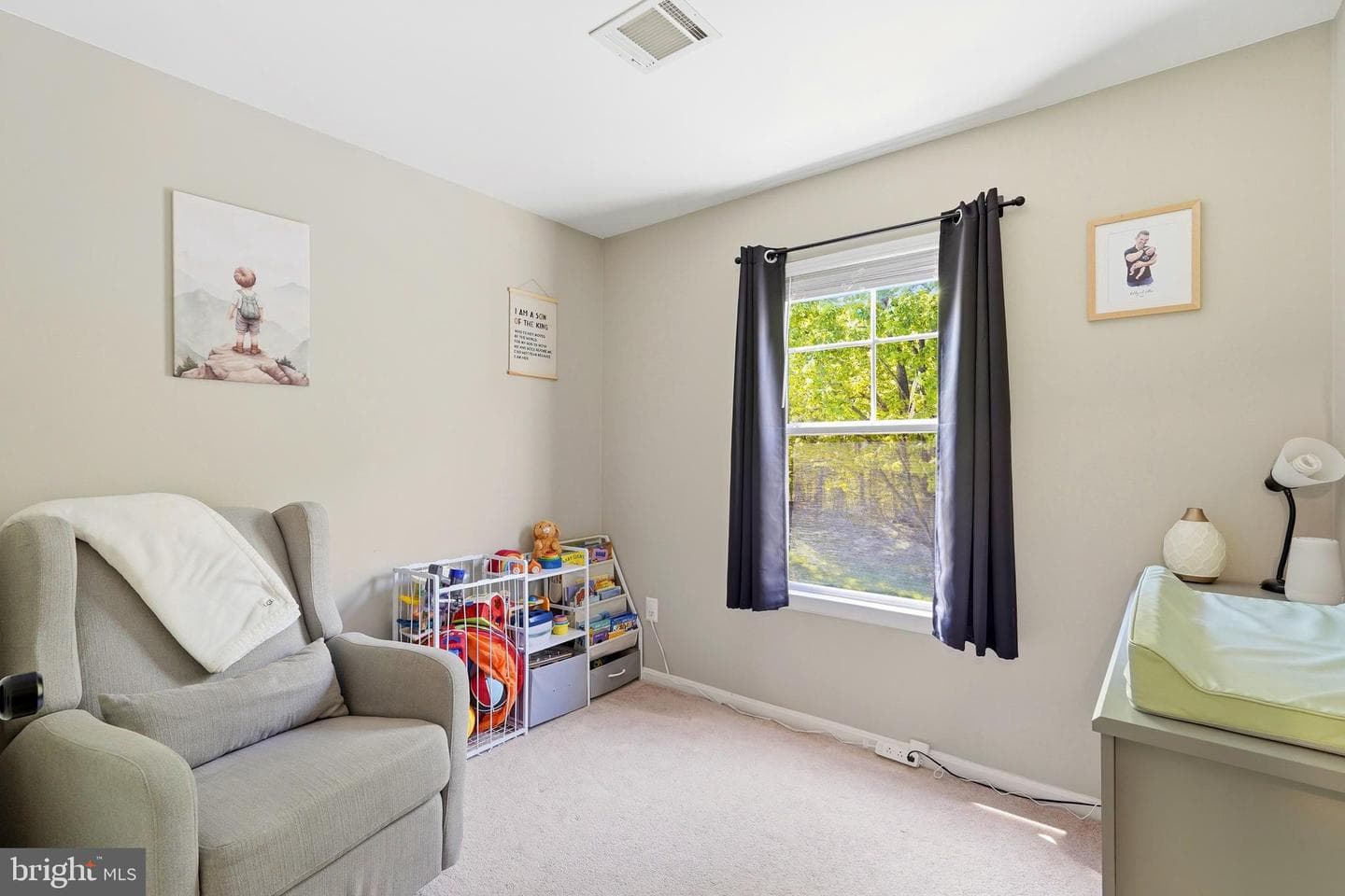 11595 Nellings Place photo 24