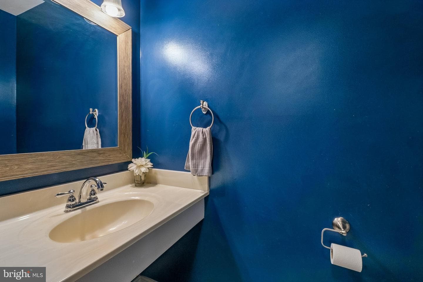12243 Thyme Lane photo 8