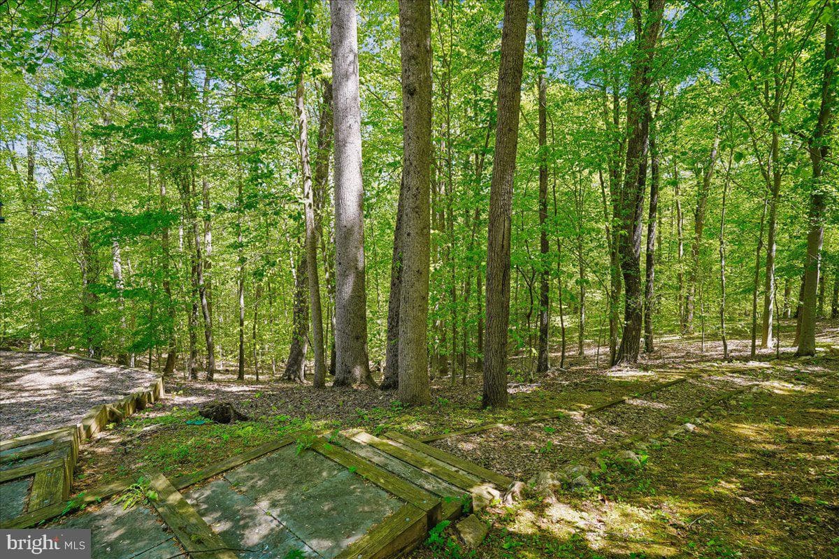 11215 Caisson Court photo 66
