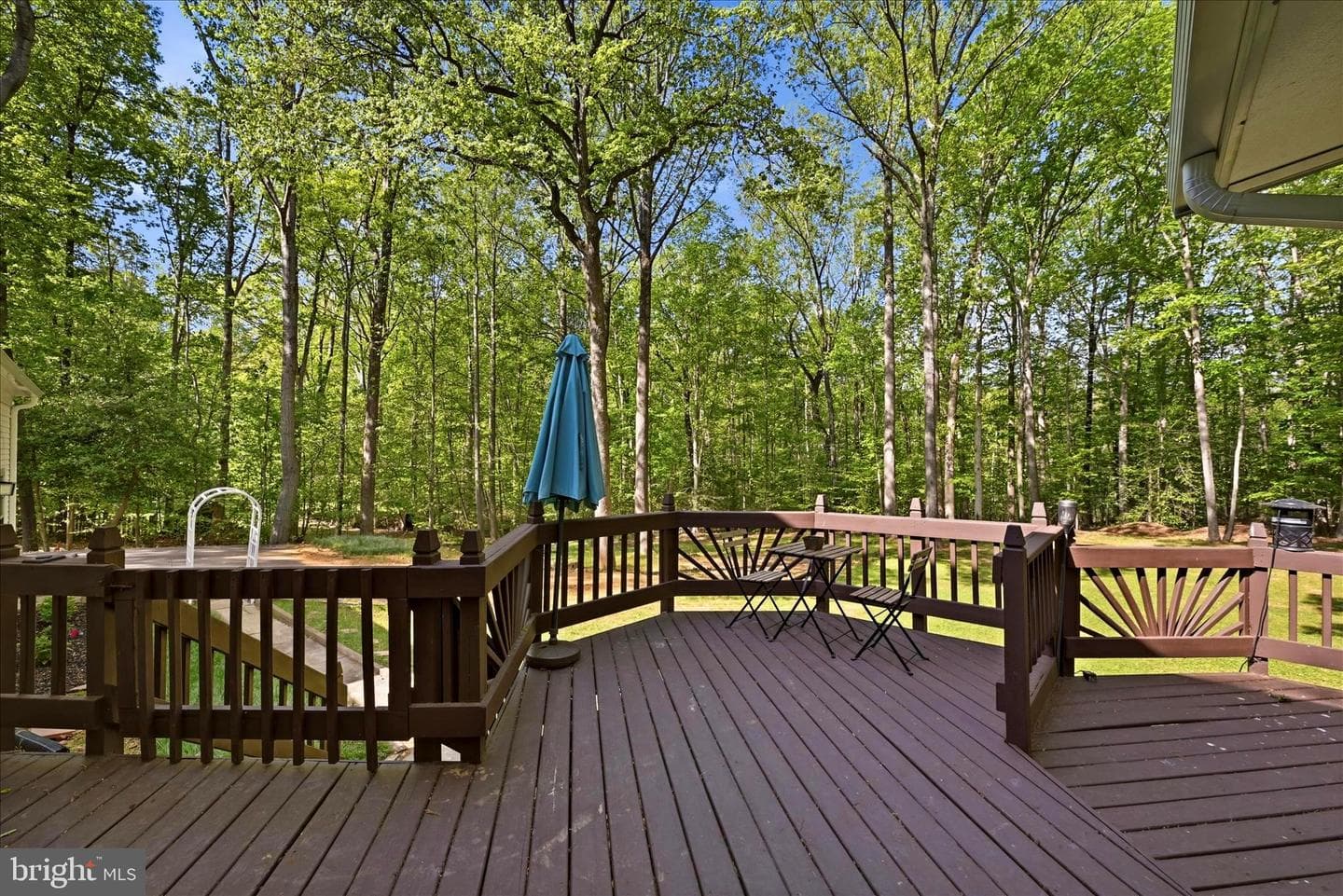 13344 Marie Drive photo 53