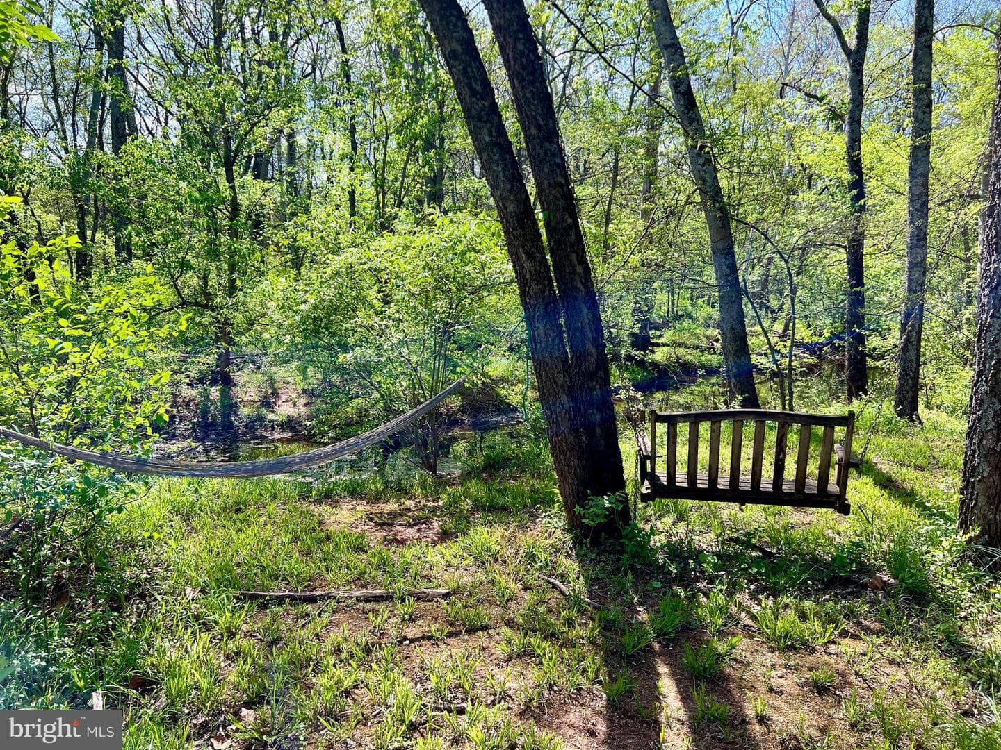 12830 Slate Bridge Court photo 61