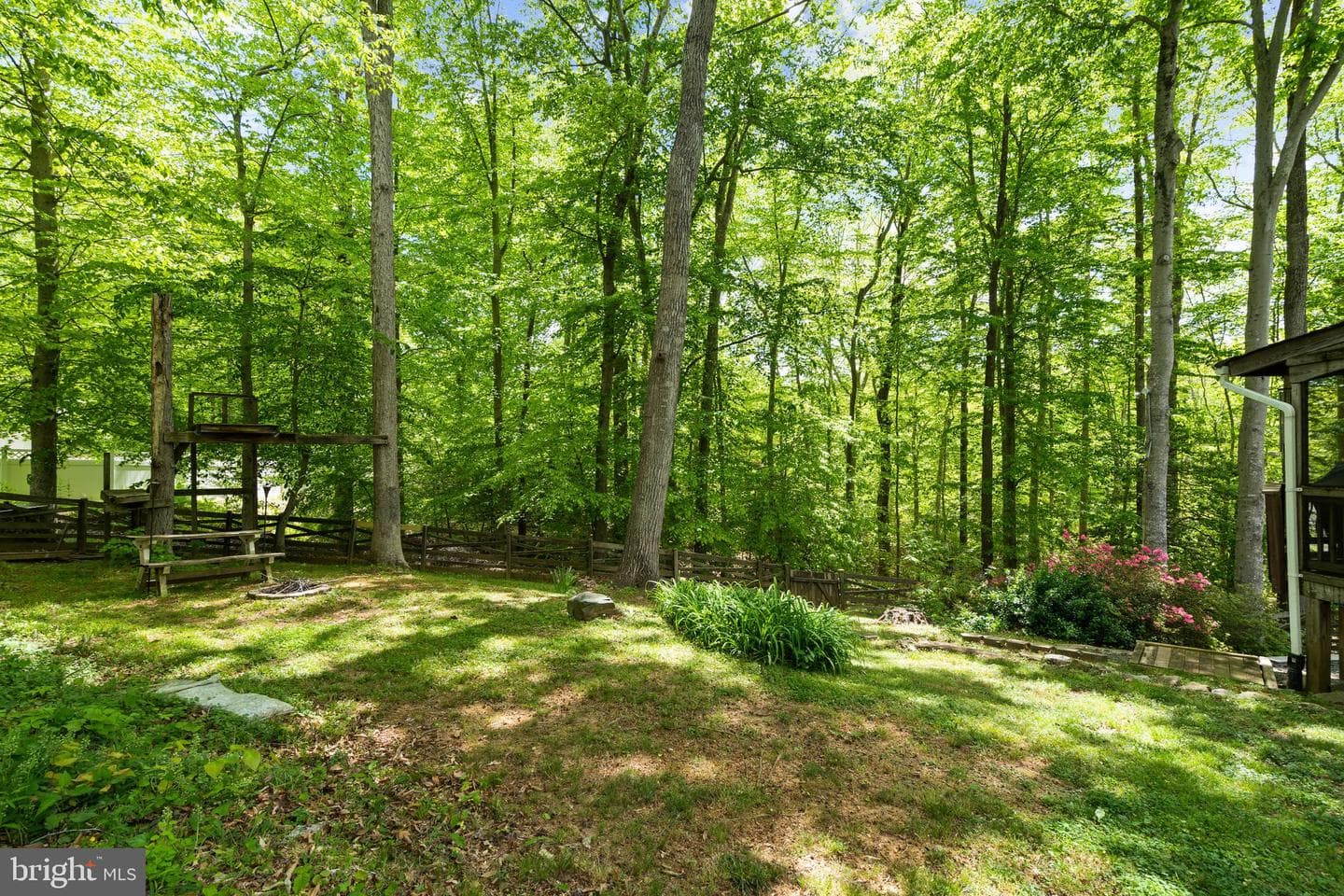 11913 Falling Creek Drive photo 105