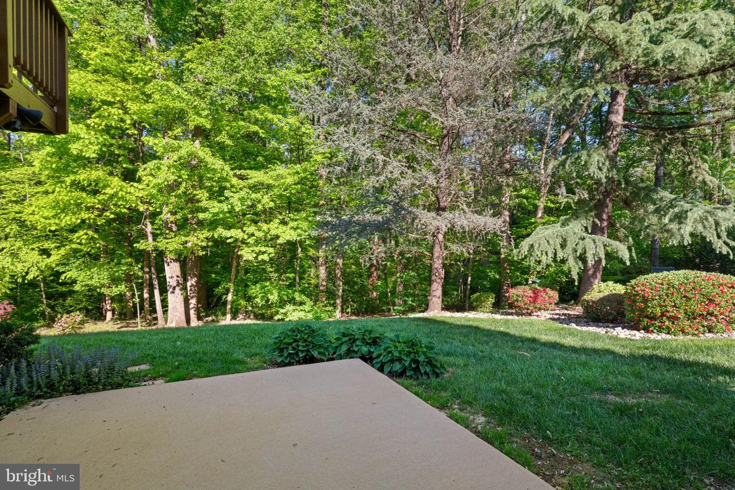 15861 Montview Drive photo 66