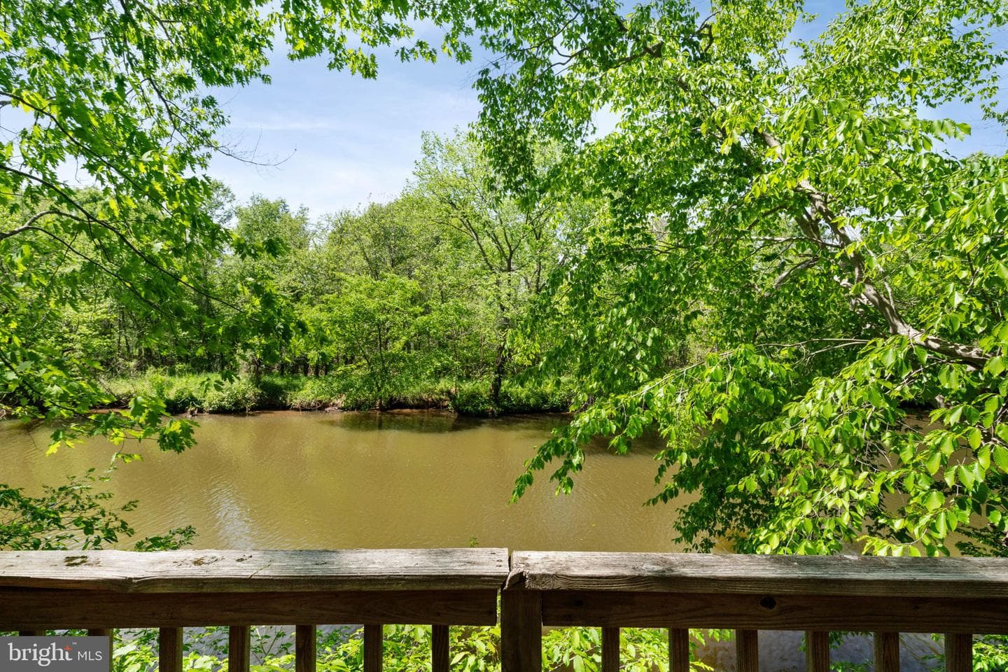 12020 Parkriver Drive photo 52