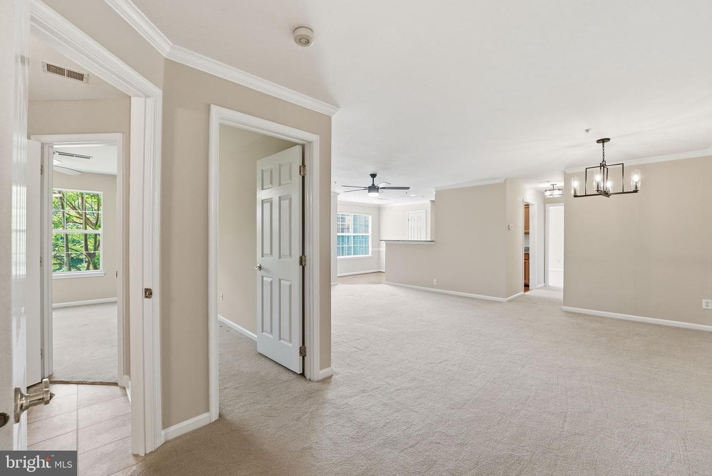 11014 Koman Circle #203 photo 4