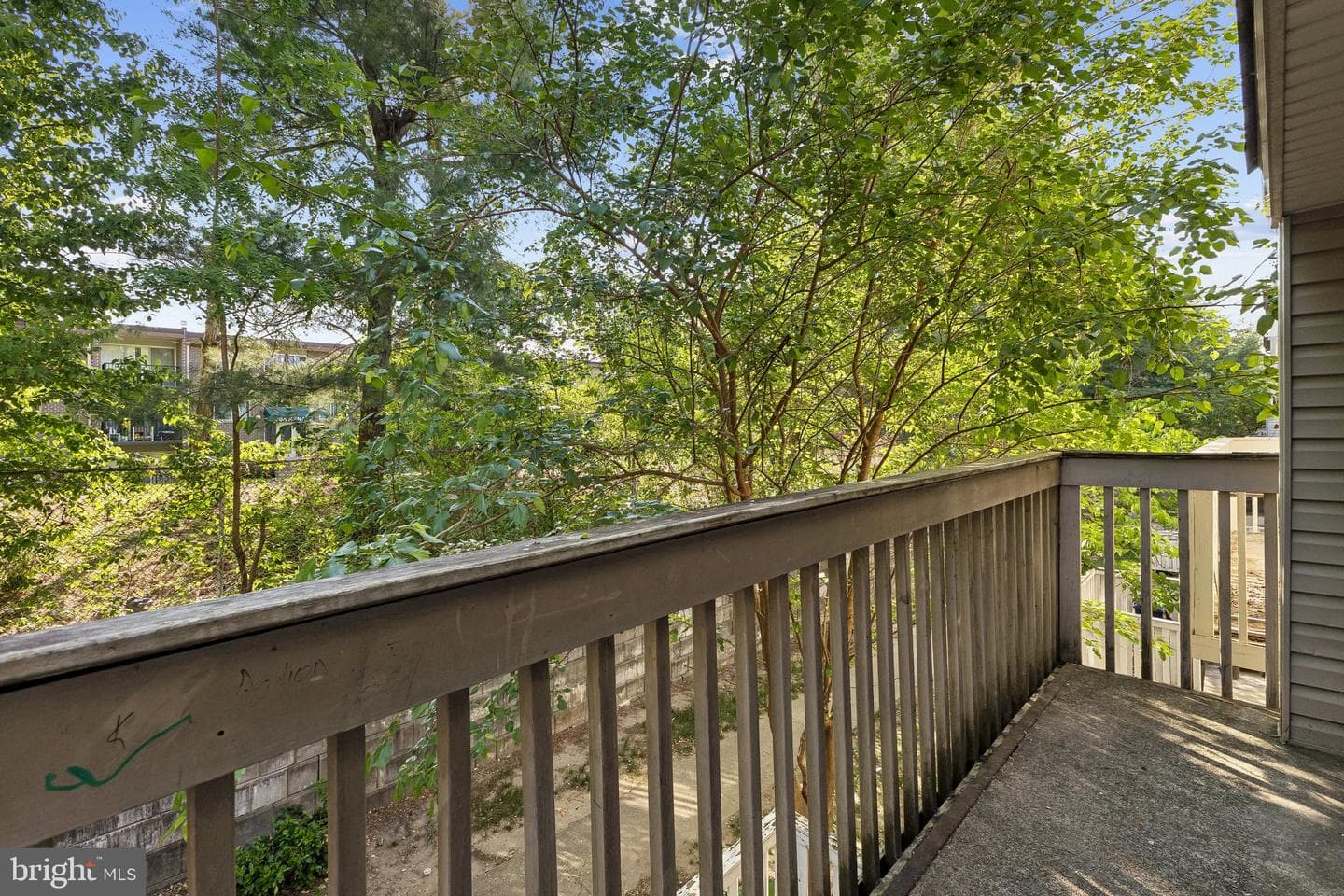 12789 Cara Drive photo 4