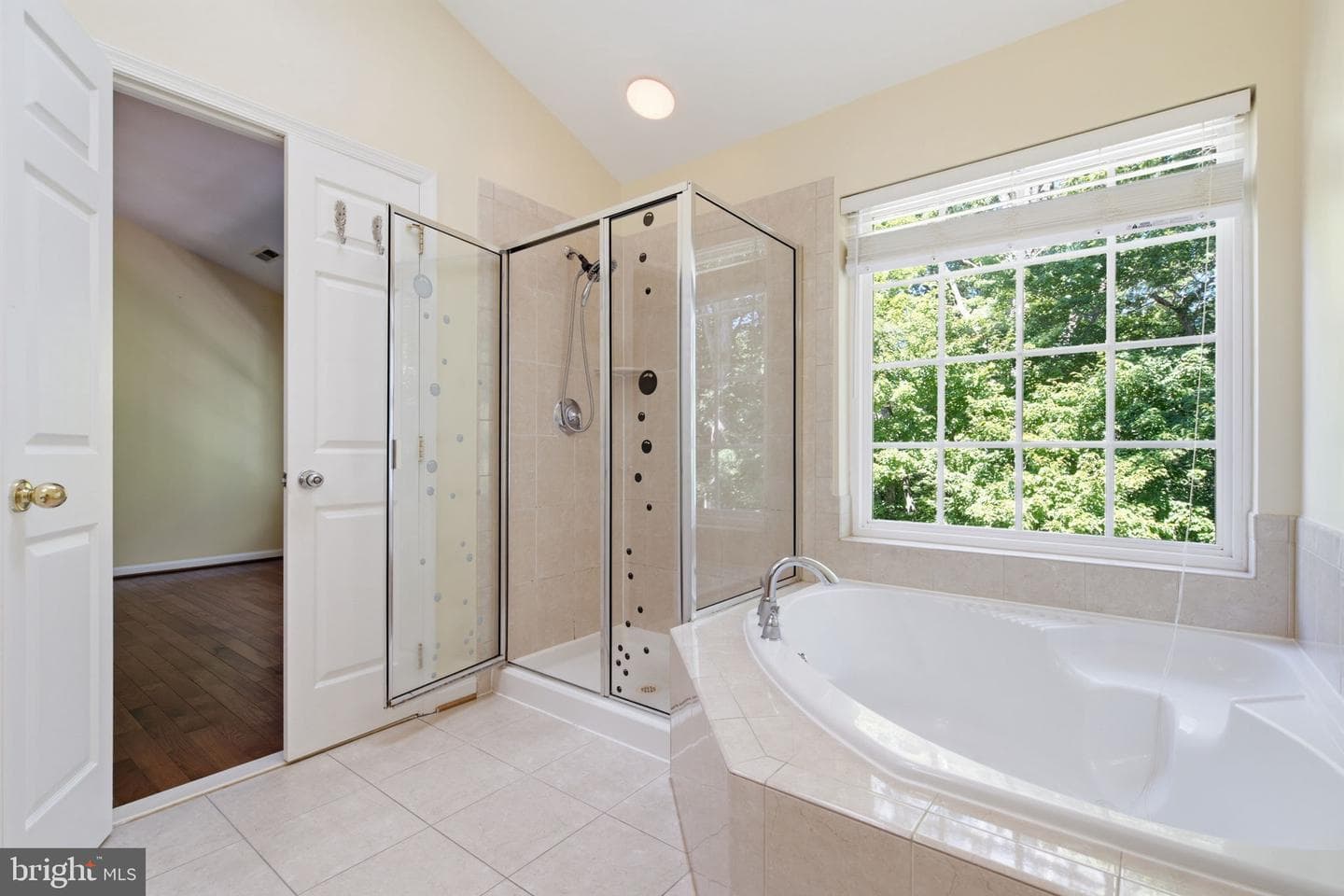17572 Victoria Falls Drive photo 25