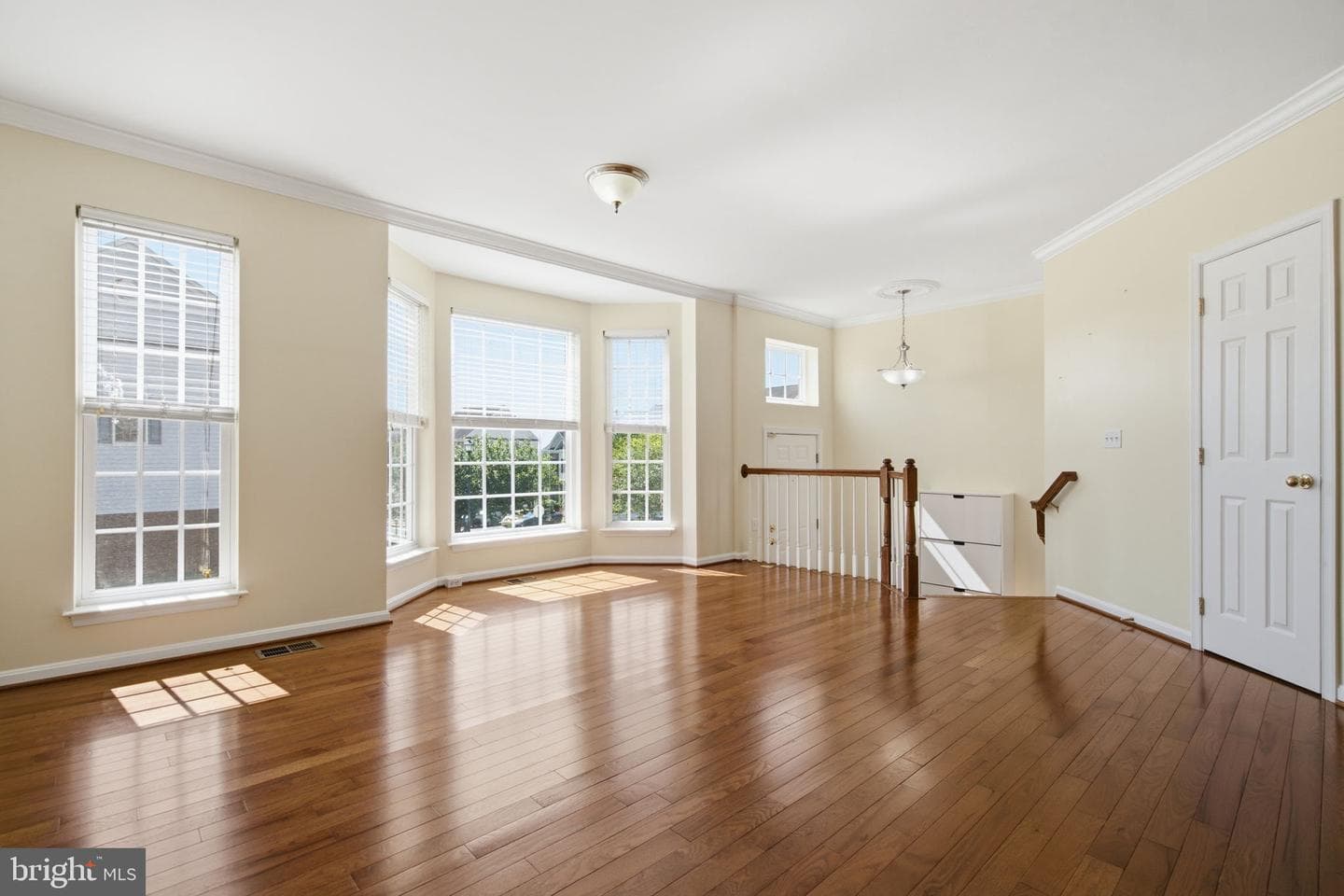 17572 Victoria Falls Drive photo 4