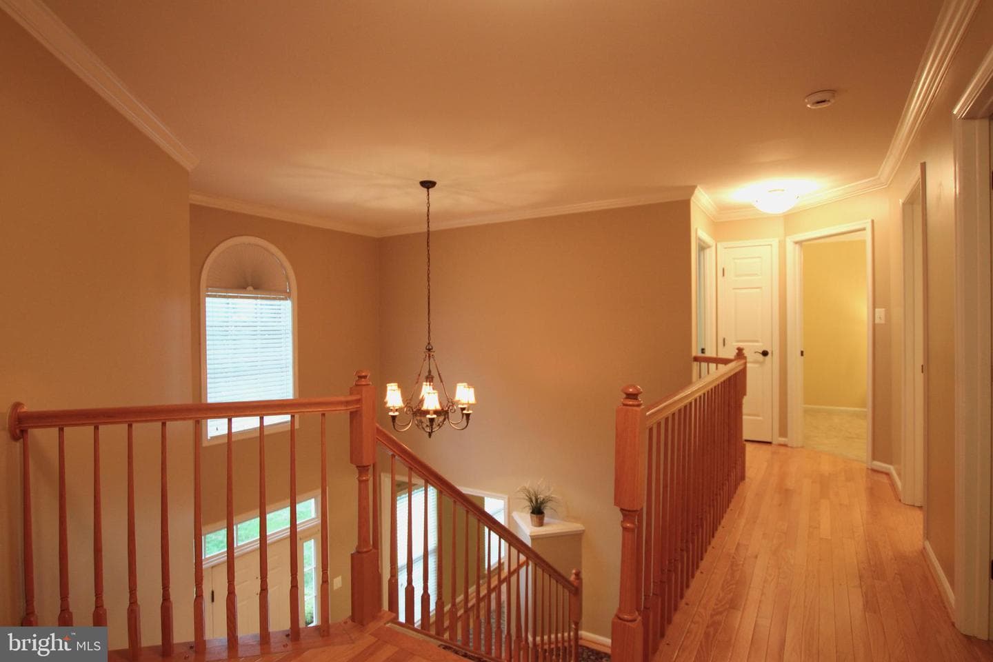 15419 Duckling Place photo 24